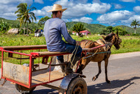 Viñales Valley, horse drawn wagon