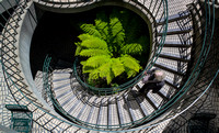 San Francisco, CA, spiral staircase